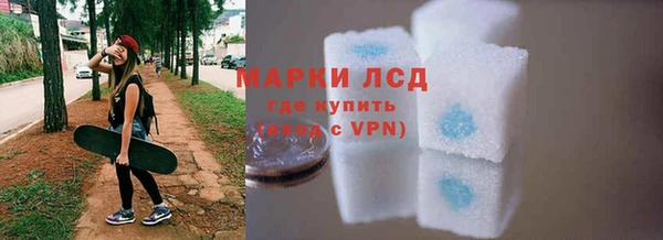 хмурый Алзамай