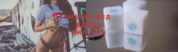 хмурый Алзамай
