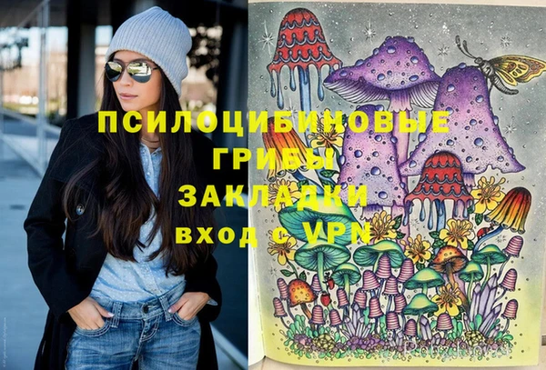 хмурый Алзамай