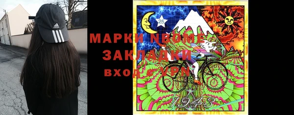 хмурый Алзамай
